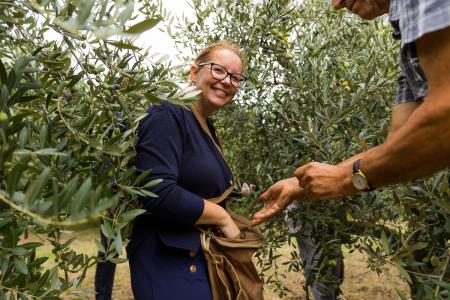 Županovo oljko je obirala koprska podžupanja Mateja Hrvatin Kozlovič.
